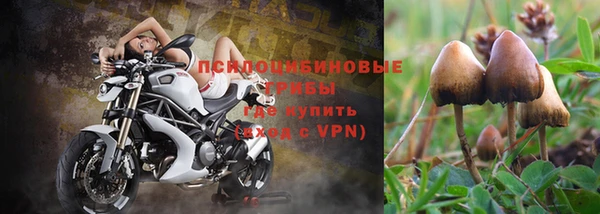 мефедрон мука Новодвинск