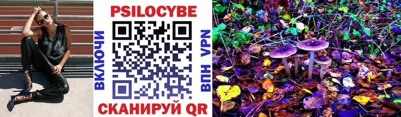 Купить закладки  Мончегорск  Галлюциногенные грибы мухоморы 
